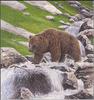[Extinct Animals] Cave Bear (Ursus spelaeus)