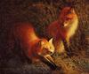 Jay J. Johnson - Foxfire