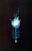 siphonophore
