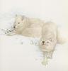 Glen Loates Art : Arctic Foxes