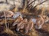 [Consigliere S4 - The Wildfowl of David Maass] 1986 International Quail Foundation Print