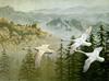 [Consigliere S4 - The Wildfowl of David Maass] Regal Flight-Tundra Swans
