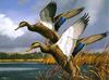 [Consigliere S4 - The Wildfowl of David Maass] 1984 Maine Duck Stamp