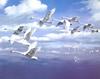 [Consigliere S4 - The Wildfowl of David Maass] Lofty Altitudes-Whistling Swans