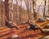 [Consigliere S4 - The Wildfowl of David Maass] Strolling Gobblers-Eastern Wild Turkeys
