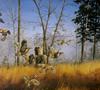 [Consigliere S4 - The Wildfowl of David Maass] Disturbed Bobwhites