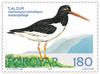 Eurasian Oystercatcher (Haematopus ostralegus) stamp