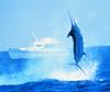 Indo-Pacific Blue Marlin (Makaira mazara)