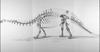 Brontosaurus - Wiki