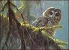 [LRS Animals In Art] lrsAA11 Bateman Robert - Owl