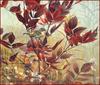 [LRS Animals In Art] lrsAA36 Bateman Robert - Yellow Rumped Warbler & Sumac