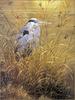 [LRS Animals In Art] lrsAA39 Bateman Robert - Grassy Bank Great Blue Heron (Ardea herodias)