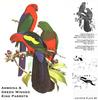 Amboina King Parrot and Green-winged King Parrot