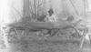 10-feet alligator gar in 1910