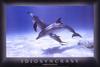 Spotted Dolphin (Stenella sp.)