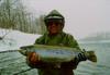 Rainbow Trout (Oncorhynchus mykiss)