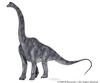 Brachiosaurus