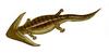 Diplocaulus - Wiki