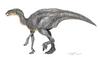Edmontosaurus