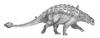 Euoplocephalus - Wiki