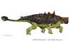 Euoplocephalus