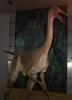 Gallimimus
