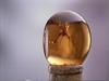 Jurassic Park - Mosquito fossil In Amber