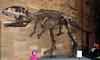 Giganotosaurus - Wiki