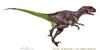 Noasaurus
