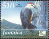 Jamaican Woodpecker (Melanerpes radiolatus) - Wiki