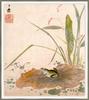 Sheng Hsiang- Frog on a Lotus Leaf (Oriental art)