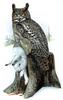 Eagle-Owl / Horned Owl (Genus Bubo) - Wiki