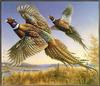 Meger - 1986 Minnesota State Pheasant Stamp (Art), Common Pheasant - Phasianus colchicus