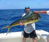 Mahi-mahi, Common Dolphinfish (Coryphaena hippurus) - Wiki