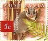 Leadbeater's Possum (Gymnobelideus leadbeateri) - Wiki