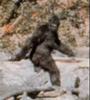 Bigfoot - Wiki