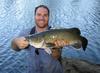 Murray Cod (Maccullochella peelii peelii)