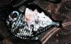 Hatchetfish