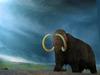 Woolly Mammoth (Mammuthus primigenius) - Wiki