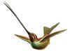 Sword-billed Hummingbird (Ensifera ensifera) - Wiki
