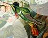 Hooded Visorbearer Hummingbird (Augastes lumachella) - Wiki