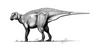 Gryposaurus - Wiki