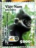 Hatinh Langur (Trachypithecus hatinhensis) - Wiki