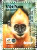 White-headed Langur (Trachypithecus poliocephalus) - Wiki