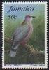 Ring-tailed Pigeon (Patagioenas caribaea) - Wiki
