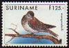 Pale-vented Pigeon (Patagioenas cayennensis) - Wiki