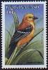 Sudan Golden Sparrow (Passer luteus) - Wiki