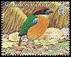 Black-faced Pitta (Pitta anerythra) - Wiki