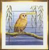 Rufous Fishing-owl (Bubo ussheri) - Wiki
