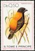 Golden-backed Bishop (Euplectes aureus) - Wiki